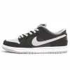 Nike SB Dunk Low J-Pack Shadow