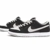 Nike SB Dunk Low J-Pack Shadow