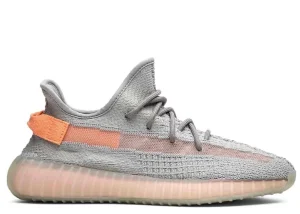 Yeezy Boost 350 V2 TRUE FORM
